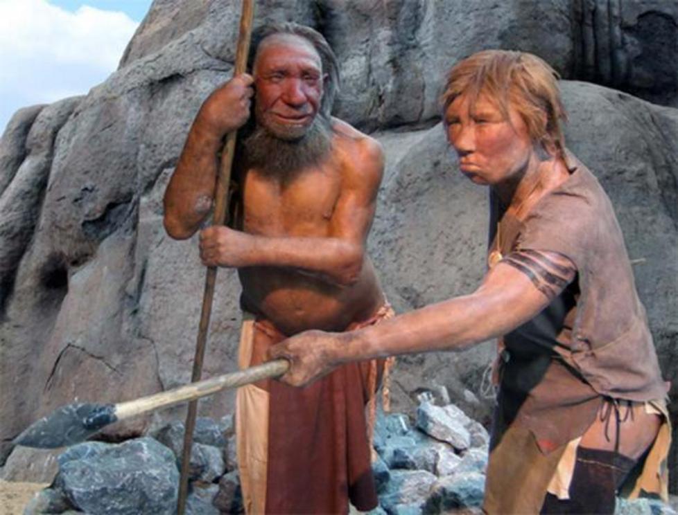 Hybrid fossils reveal interbreeding between Homo sapiens and Neanderthals.