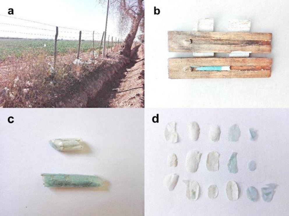 Clockwise: Plastic waste caught in a fence; plastic bee nest; the pieces of plastic; the cells.