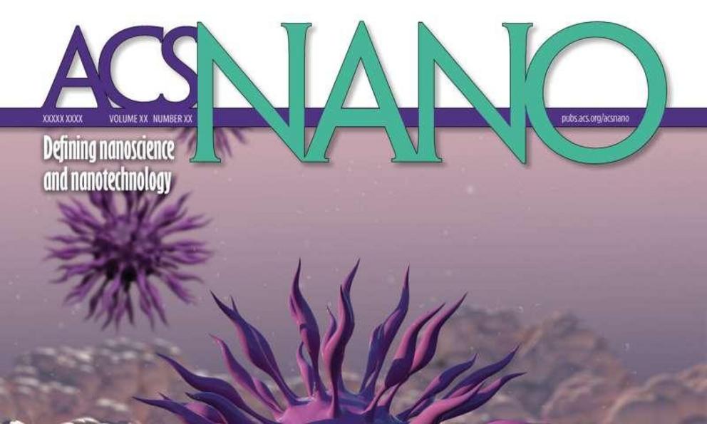 OSU researchers Olena and Oleh Taratula's work with magnetic nanoclusters as cancer therapy was featured on the cover of ACS Nano.