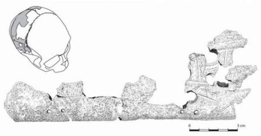 Another portion of the Pacbitun trophy skull.