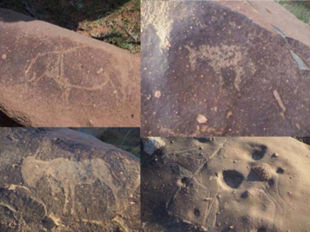 Carvings of hippopotamus, horses, and antelopes in the Vredefort impact crater.