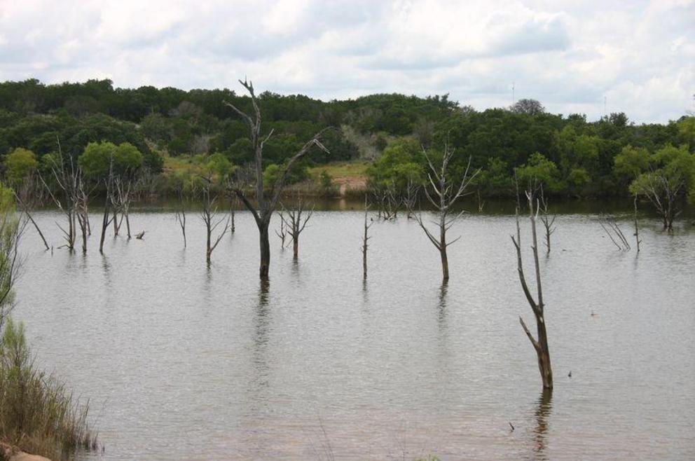 When the Colorado River in Texas was dammed to form Inks Lake, a forest was immersed in water and killed, resulting in a ghost forest.