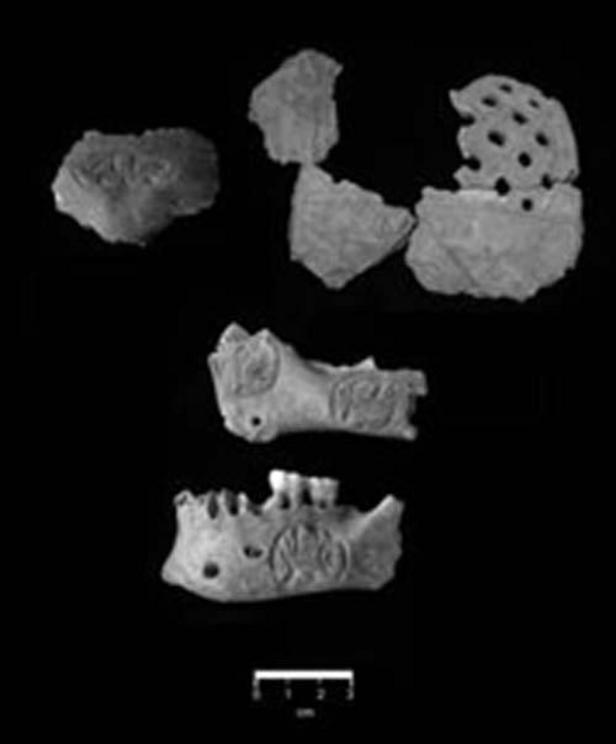 Portions of the Pakal Na trophy skull, found in the south with a northern warrior.