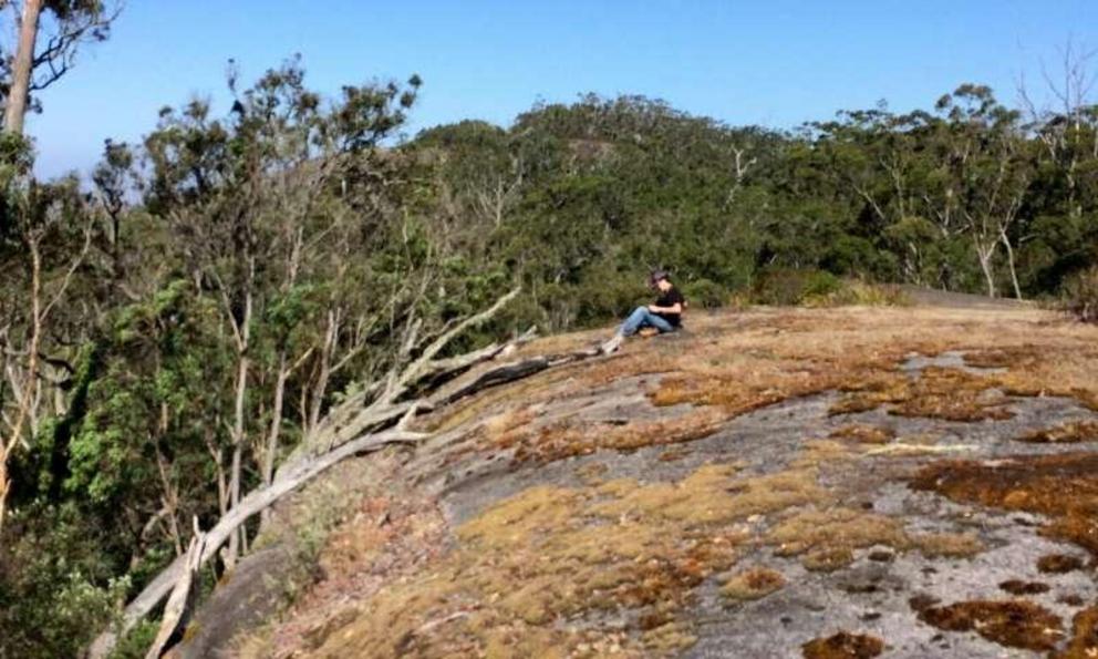 Lead author Jen-Pan Huang on a lichen-covered rock in Taiwan.