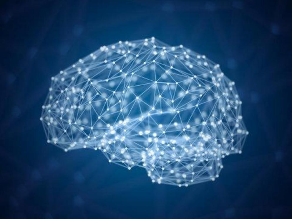 Brain neural network concept (stock image).  Credit: © koya979 / Adobe Stock