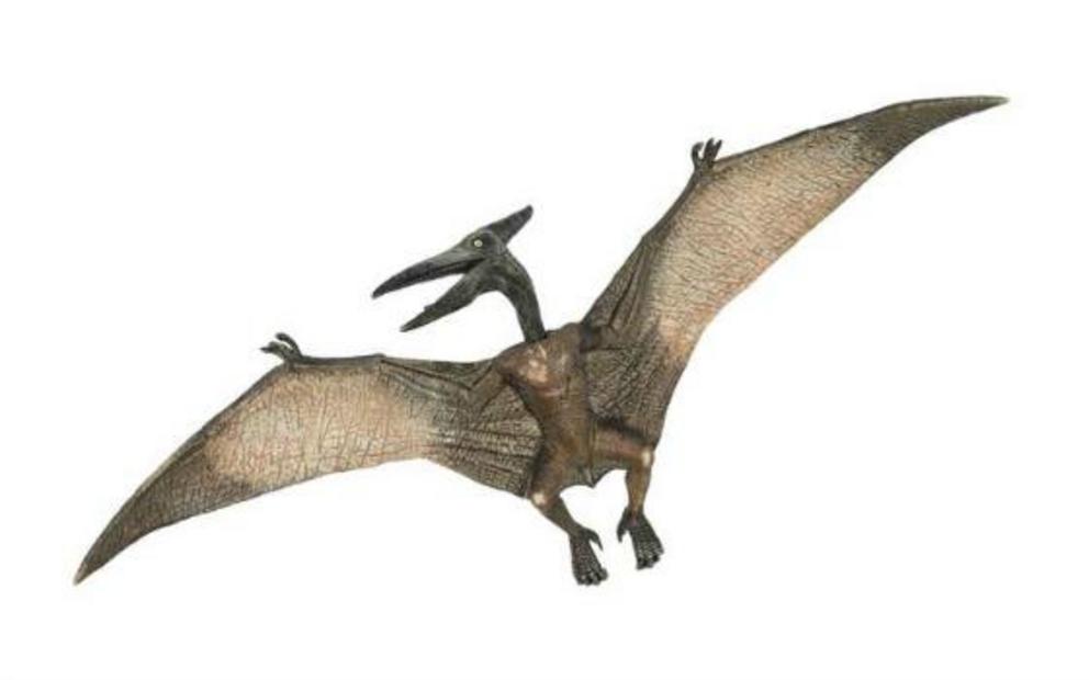 real life pterodactyl