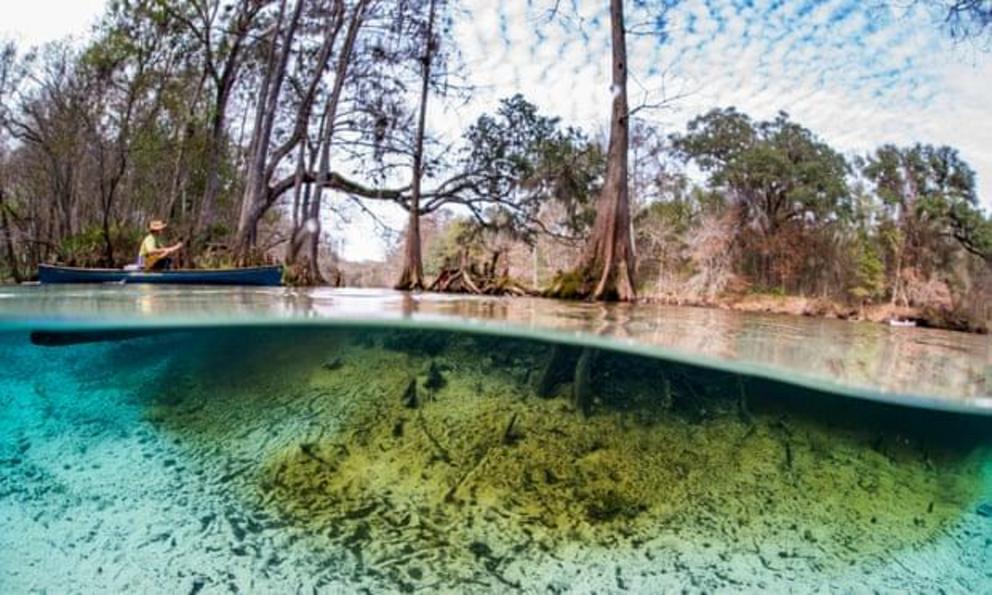 Ginnie Springs in Florida. ‘A big threat to this diversity is habitat degradation, which will happen with reduced flows,’ said Merrillee Malwitz-Jipson.