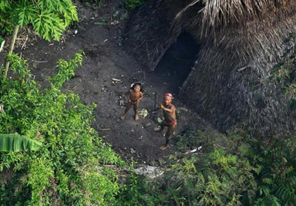 An uncontacted tribe in the jungle of Brazil.