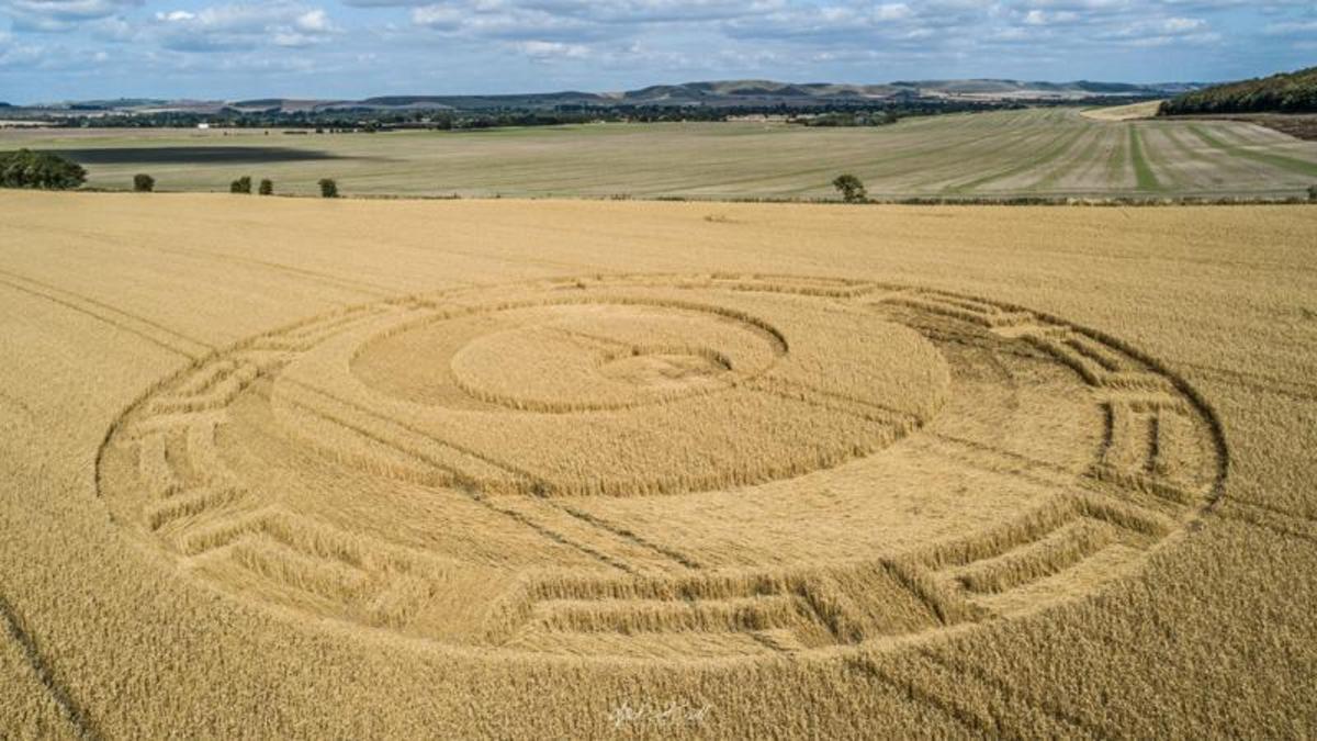 Crop circle: Etchilhampton Hill, near Devizes, Wiltshire - Nexus Newsfeed