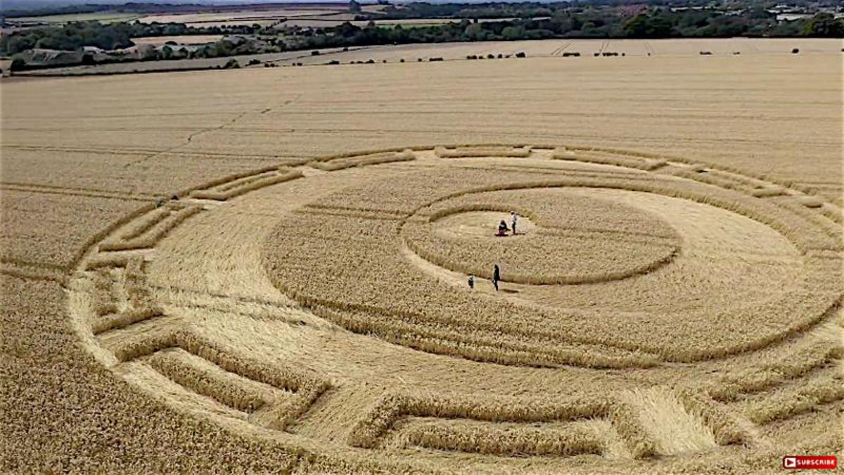 Crop circle: Etchilhampton Hill, near Devizes, Wiltshire - Nexus Newsfeed