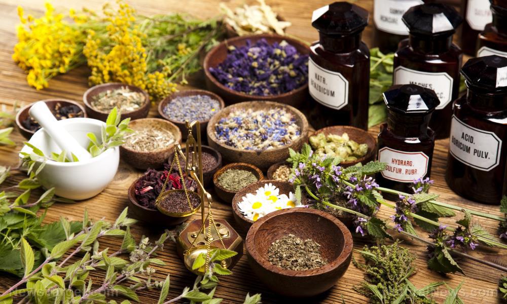 traditional-medicine-in-south-africa