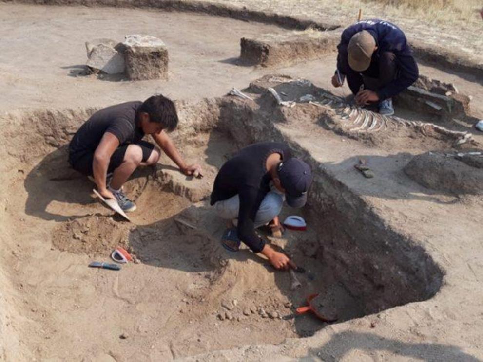 Archaeologists work on the newly discovered Bronze Age grave.