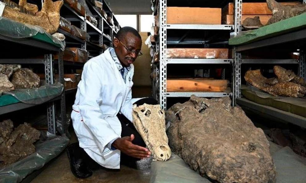 Kenyan paleontologist Job Kibii says there are 