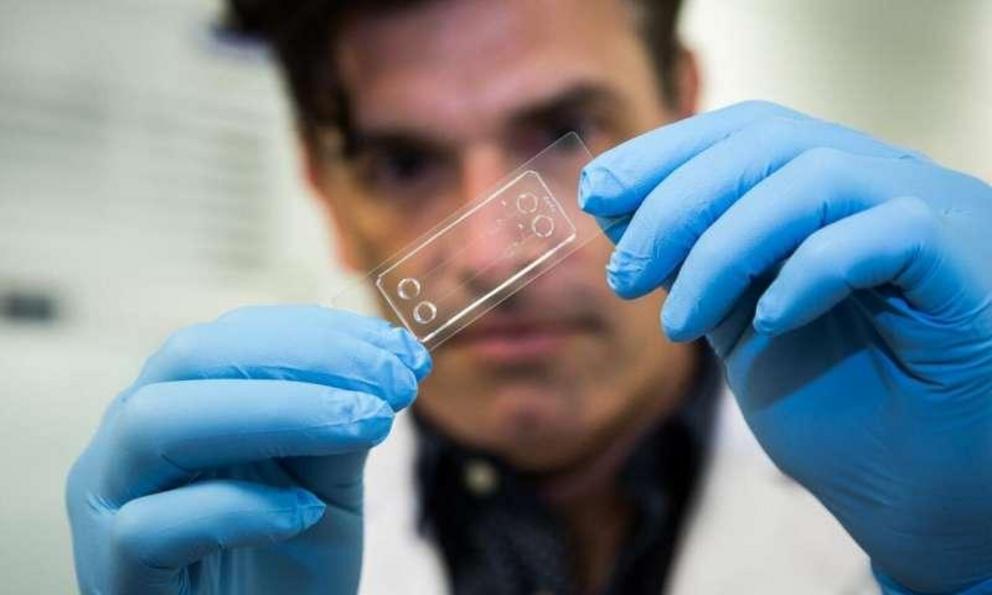 The biocompatible device contains the complex features of a pathology lab, in miniature. Credit: RMIT University