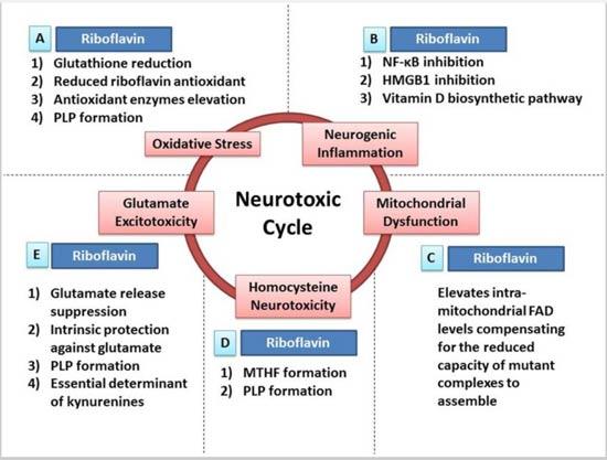 Riboflavin For Migraine Prevention - Nexus Newsfeed