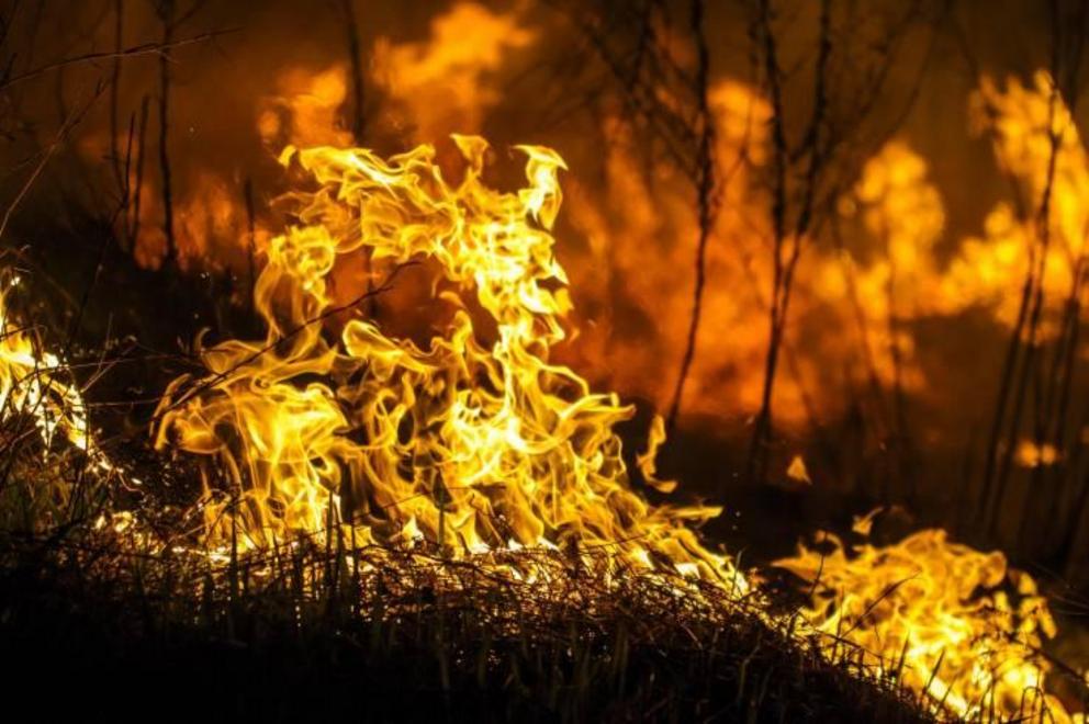  Stock photo: A wildfire burning. iStock 