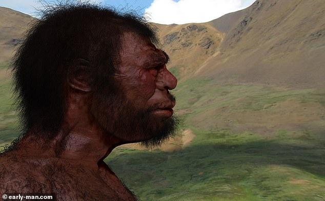 Did Denisovans Look Like Humans? Mystery Deepens Over What The Elusive ...