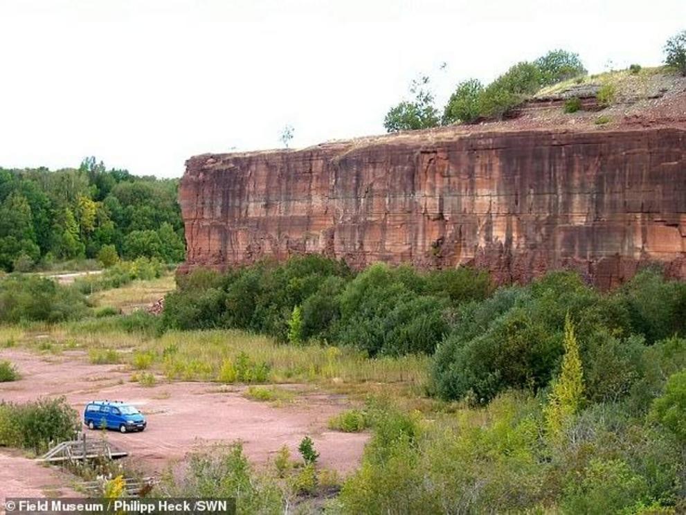 These cliffs are made of sedimentary rock that was once an ancient seabed. The gray horizontal line in the rock shows where the dust from the asteroid collision fell