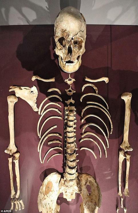 Radiocarbon dating has shown the remains to be more than 9,000 years old - as old as the Cheddar Man - Britain's oldest complete skeleton