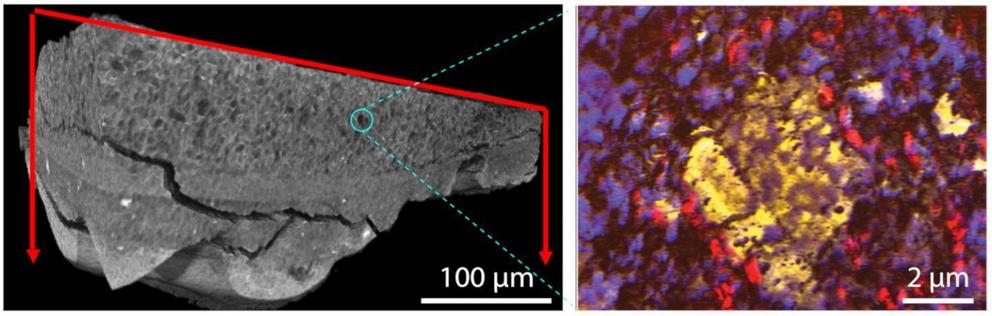 An X-ray microtomography scan of a paint sample (left) shows a random distribution of components in a paint sample, and a zoomed-in view by a technique known as photothermal induced resonance (right) reveals that zinc carboxylates, known as soaps, are not