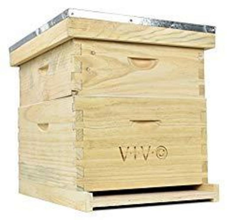 The basics of beekeeping for beginners 515j2VKHS6L._SL250_-1568128205651