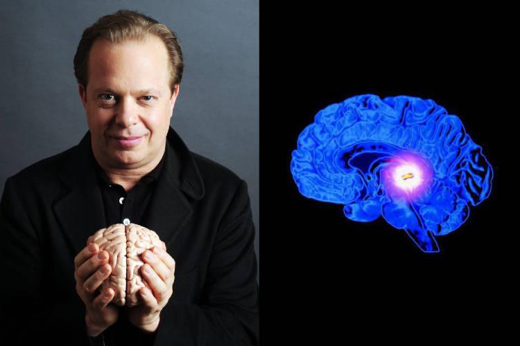 Dr Joe Dispenza Demystifies The Science Of Pineal Gland Activation Nexus Newsfeed 4369