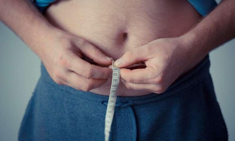 New Study Shows Why People Gain Weight As They Get Older - Nexus Newsfeed