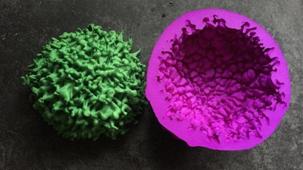 This 3D-printed model emphasises the remnants clumpiness.
