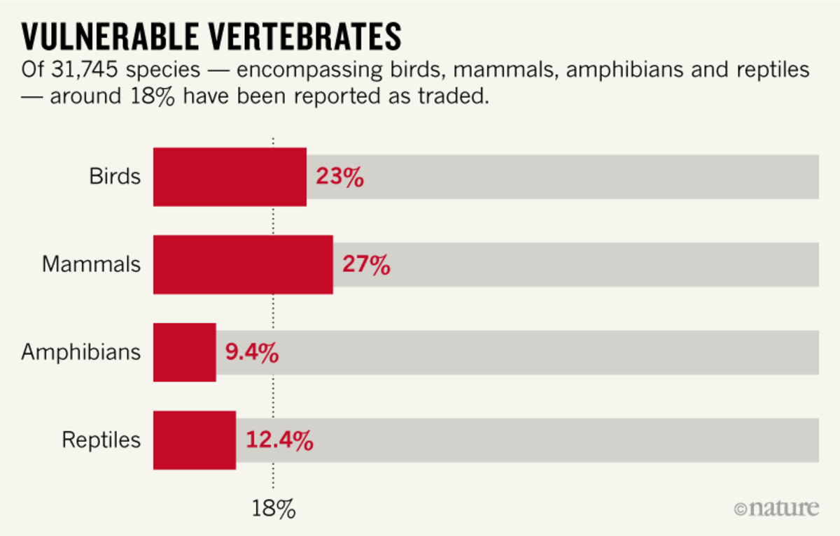 Sweeping extent of global trade in wild animals revealed Nexus Newsfeed