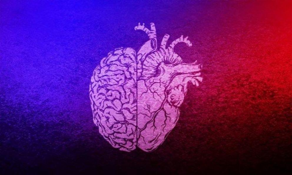Heart and brain. Мозг и сердце. Обои мозг и сердце. Обои мозги и сердце. Половина сердца и мозга.