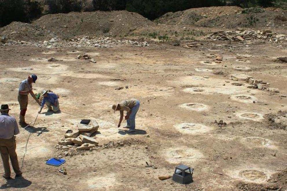 Sauropod footprints at the Coffee Hollow A-Male trackways.