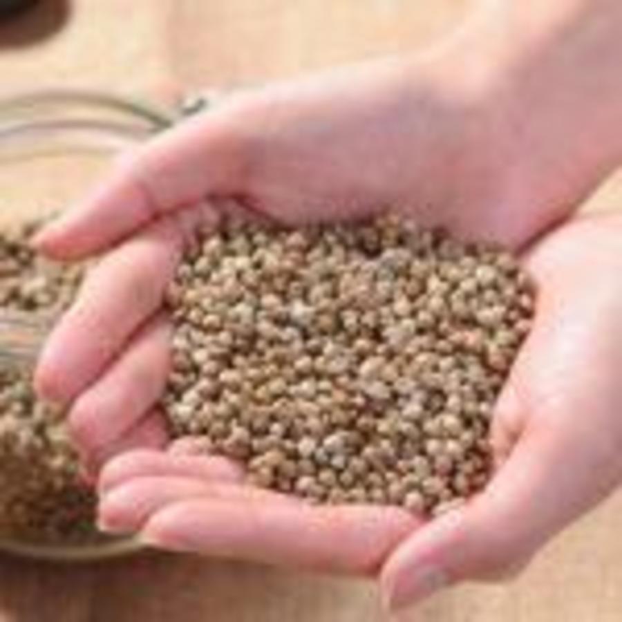 research-has-shown-hemp-seeds-help-reduce-blood-pressure-decrease-the