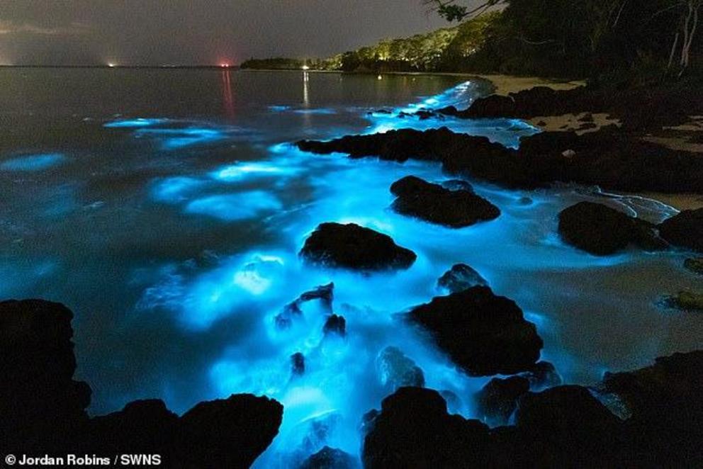 The rare event — which only happens there once or twice a year — is caused by a microscopic organisms dubbed 'sea sparkle' that glow when disturbed