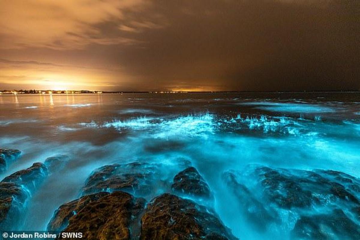 fire-of-the-sea-mesmerising-footage-of-bioluminescent-algae-glowing