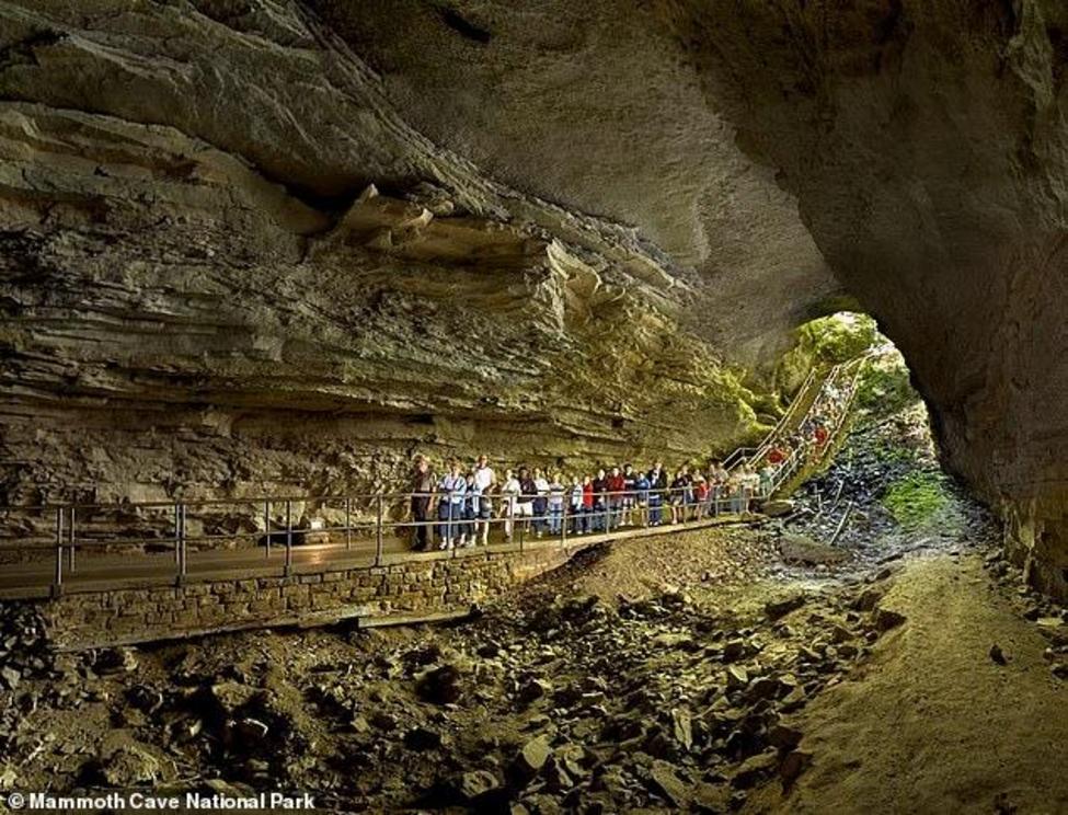 The remains of the ancient animal are located in Mammoth Cave National Park (pictured), which is home to the longest known cave system on Earth-one that extends for more than 400 miles