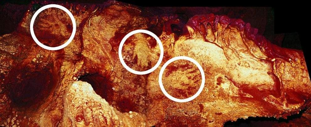 Maltravieso Cave showing three hand stencils (circled). One has been dated to at least 66,000 years ago and must have been made by a Neanderthal. The enhanced colour of the photo shows the outline of the hands. The research team believe that the stencils 