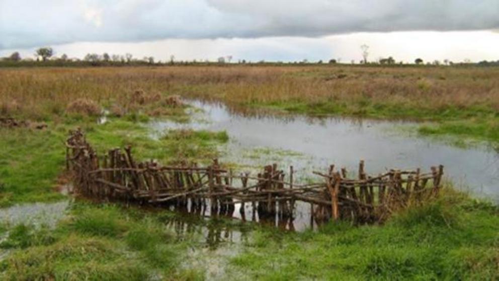 A channel with reconstructed stake, branch and weir in the Budj Bim Cultural Landscape.