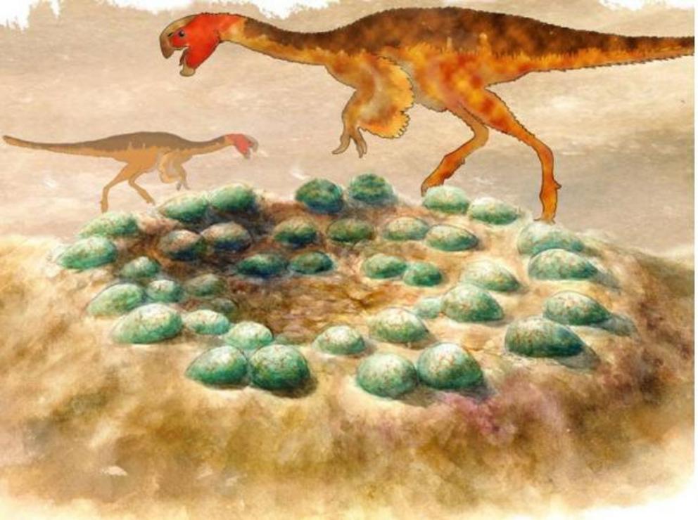 Reconstruction of a clutch of eggs with silhouettes of the oviraptorids.