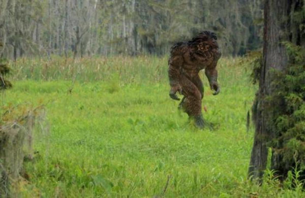 Skunk ape sighting investigated near Dade City, Florida Nexus Newsfeed