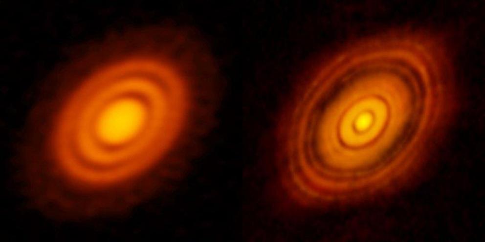 Disks pictured around distant stars.