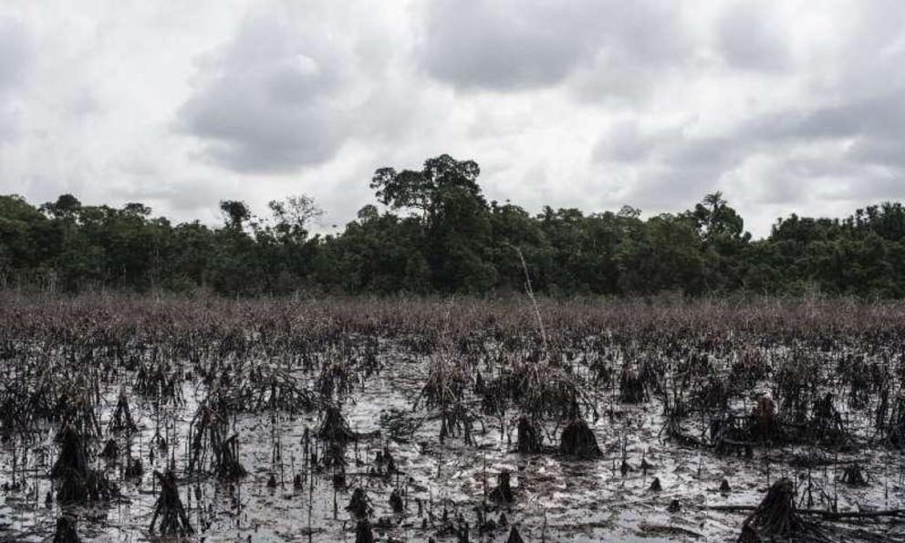 Pollution from illegal oil refineries in the Niger delta have worsened the the environmental damage