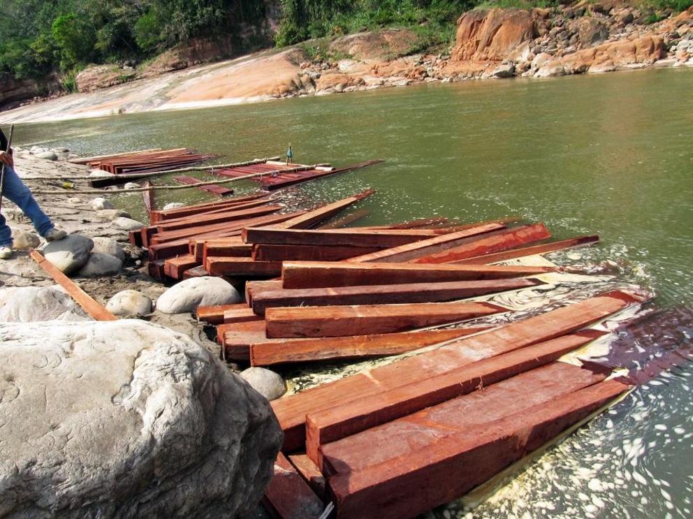 Mara planks seized from wood pirates in Amboro National Park.