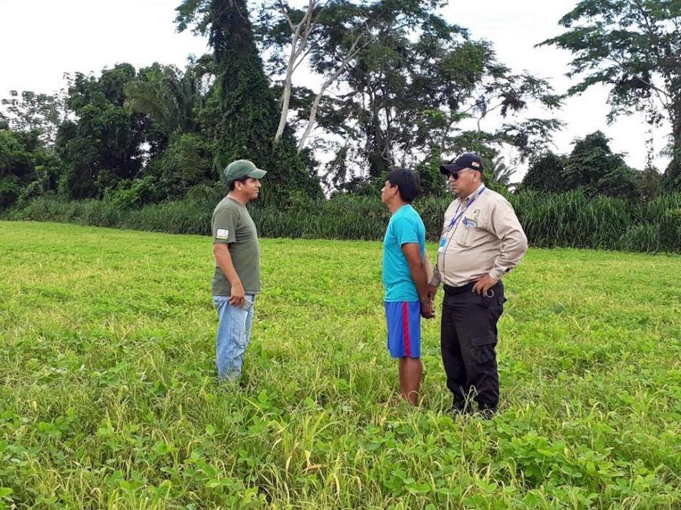 Authorities arrest a wood pirate during an operation at Amboro National Park.