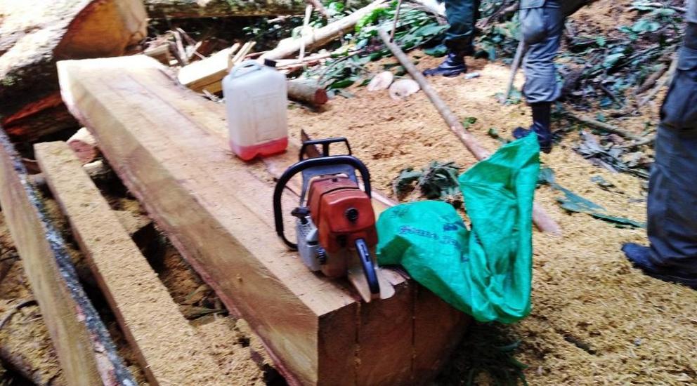 Chainsaw, fuel and mara planks seized from wood pirates.