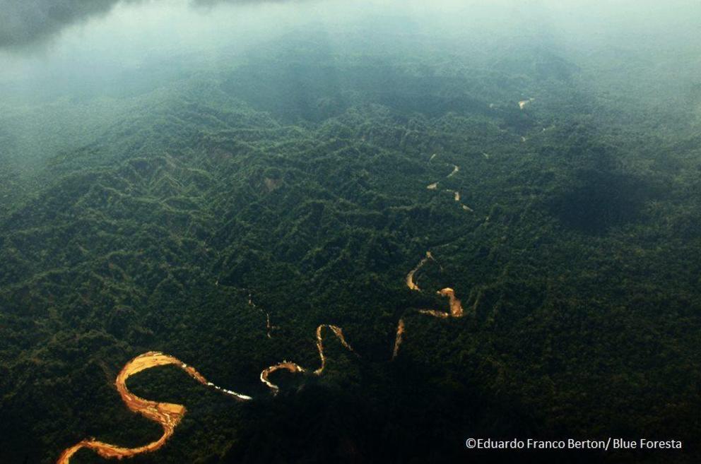 Aerial view of Madidi National Park.