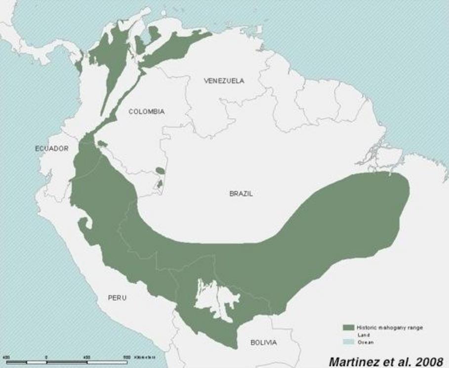 Historic range of mara/big-leaf mahogany (Swietenia macrophylla).