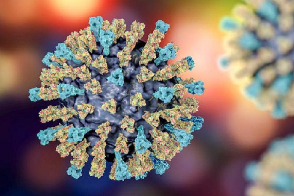 Measles virus igg