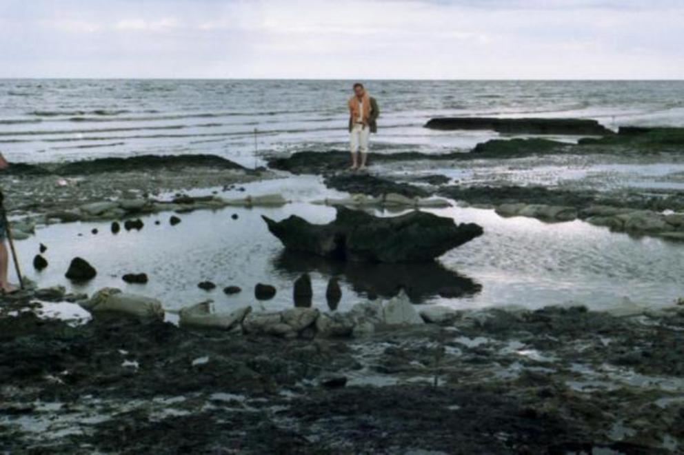 A view of Seahenge several months after discovery by which time archaeologists had already removed some of the timber stakes and sawn a chunk out of the central 