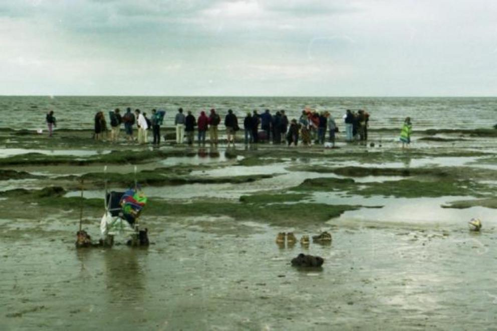 After Seahenge was found exposed in the peat bed, visitors came from far and wide to see this ancient site for themselves.