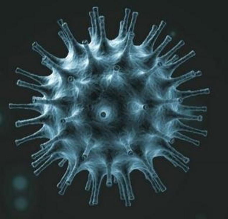 COVID-19: US military prepping for coronavirus pandemic plus MORE Coronavirus-1-1581717543338